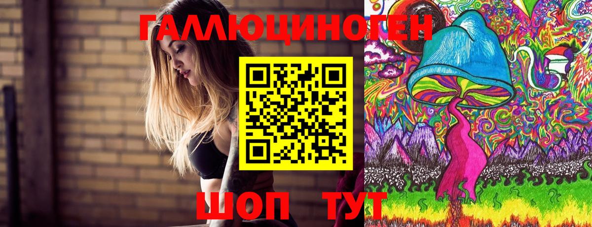 Гусиноозёрск  Псилоцибиновые грибы ЛСД  Вход с VPN 
