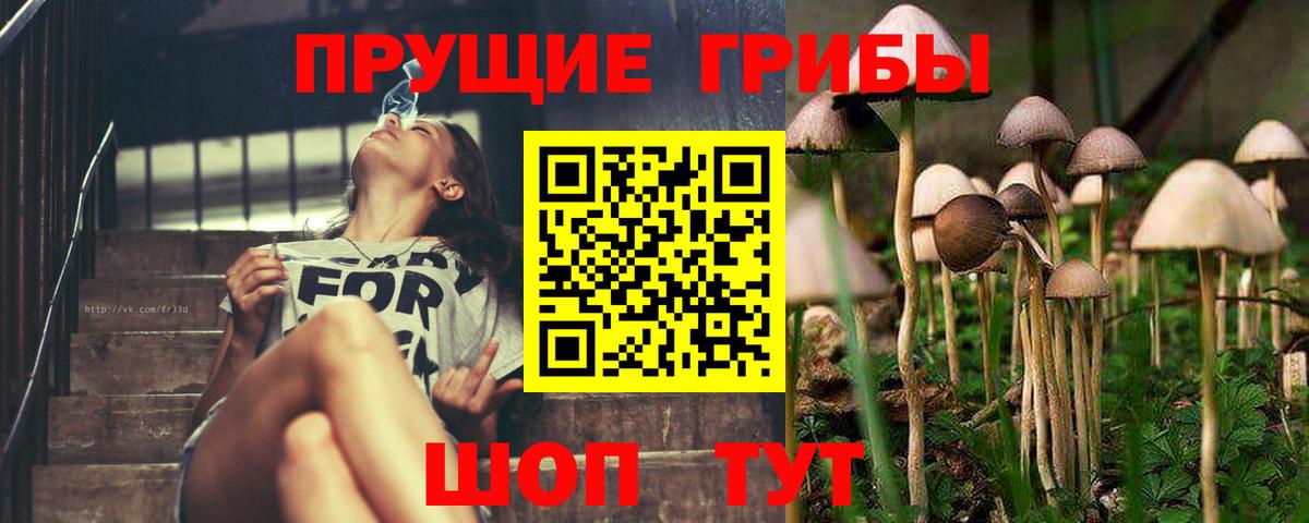 Галлюциногенные грибы Magic Shrooms Гусиноозёрск