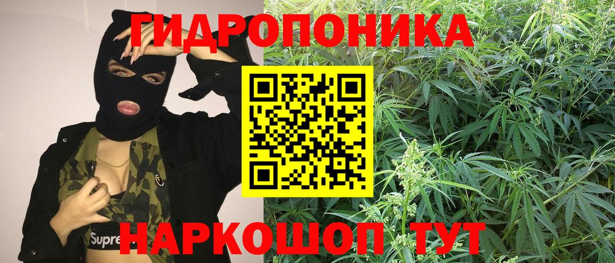 Бошки марихуана THC 21%  МАРИХУАНА ГИДРОПОН  Марихуана SATIVA & INDICA  Вход с VPN  Гусиноозёрск 